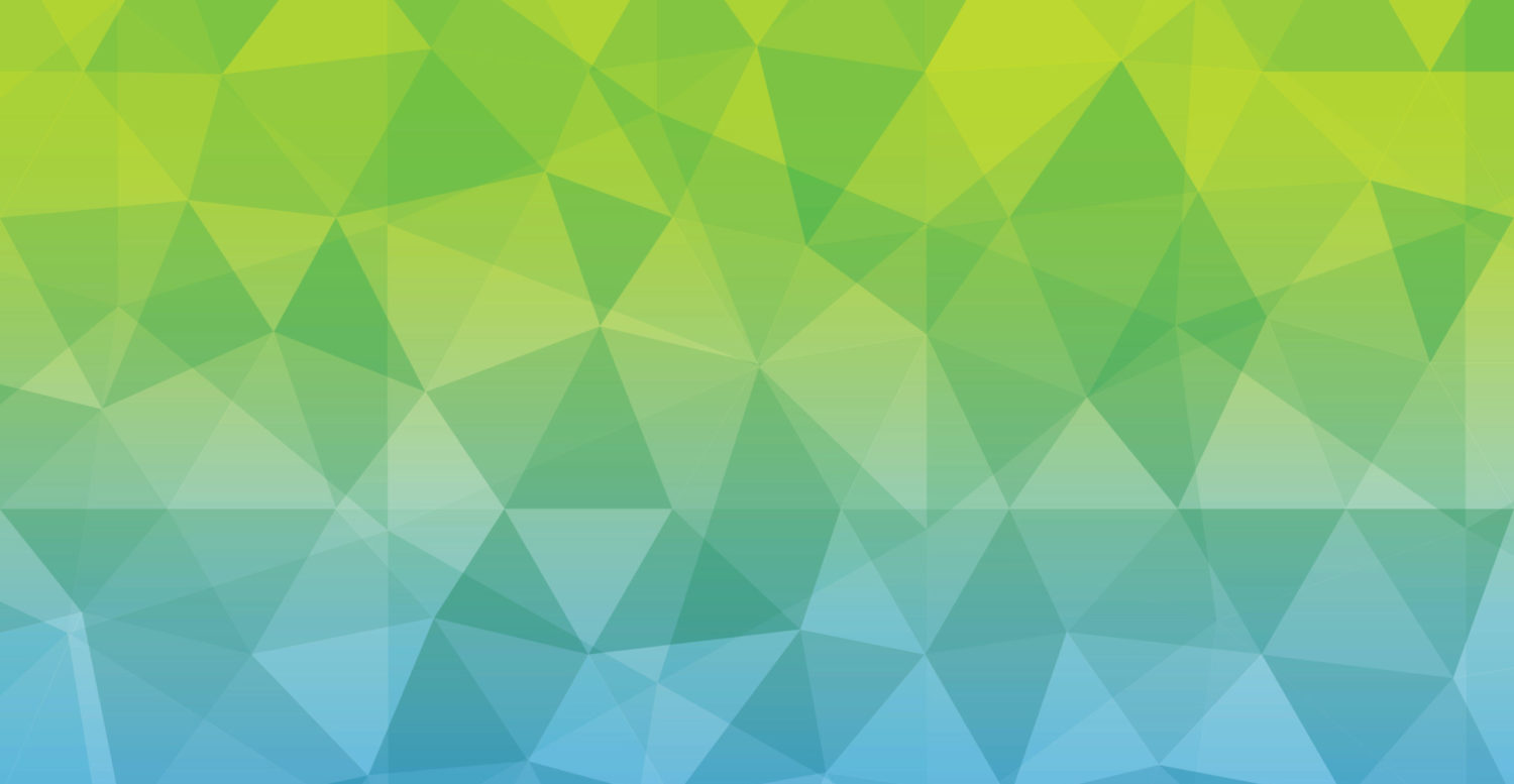 U.S.A. Privacy Policy